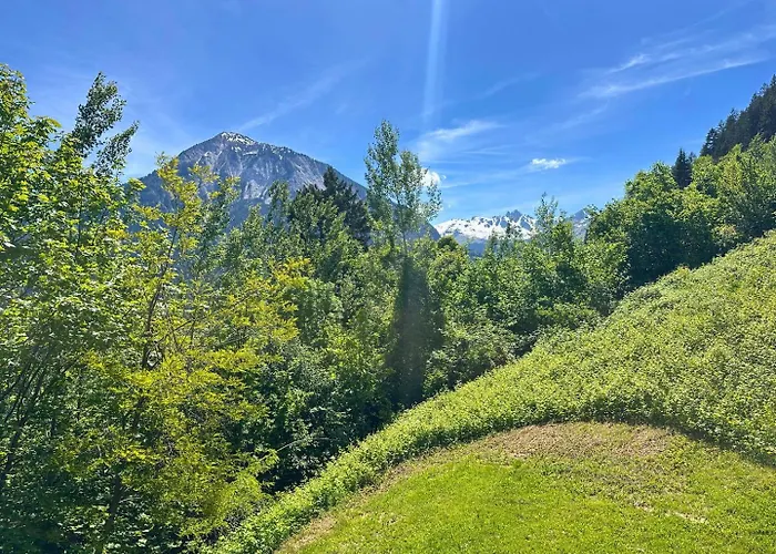 Bouquetin Spacieux 2 Pieces Vue Montagne Vue Montagne, & Terrasse * La Plagne
